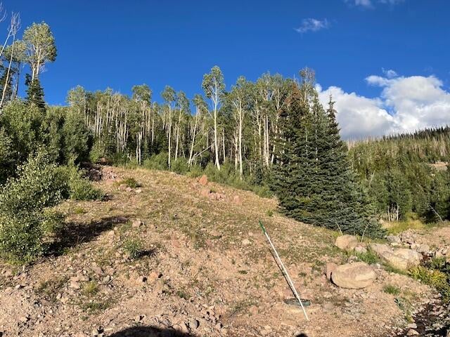 Photo of 1015 E Autumn DR, Brian Head, UT 84719 (MLS # 115412)