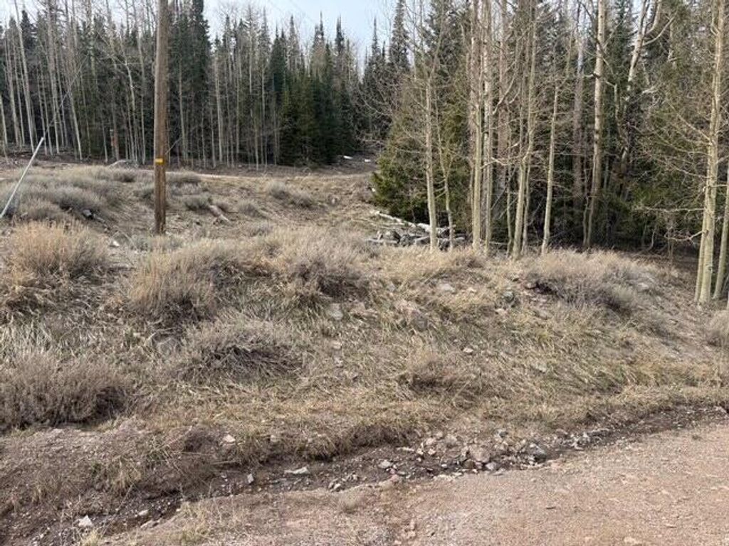 Photo of 761 S Driftwood DR #BH unit 3 blk A lot, Brian Head, UT 84719 (MLS # 115463)