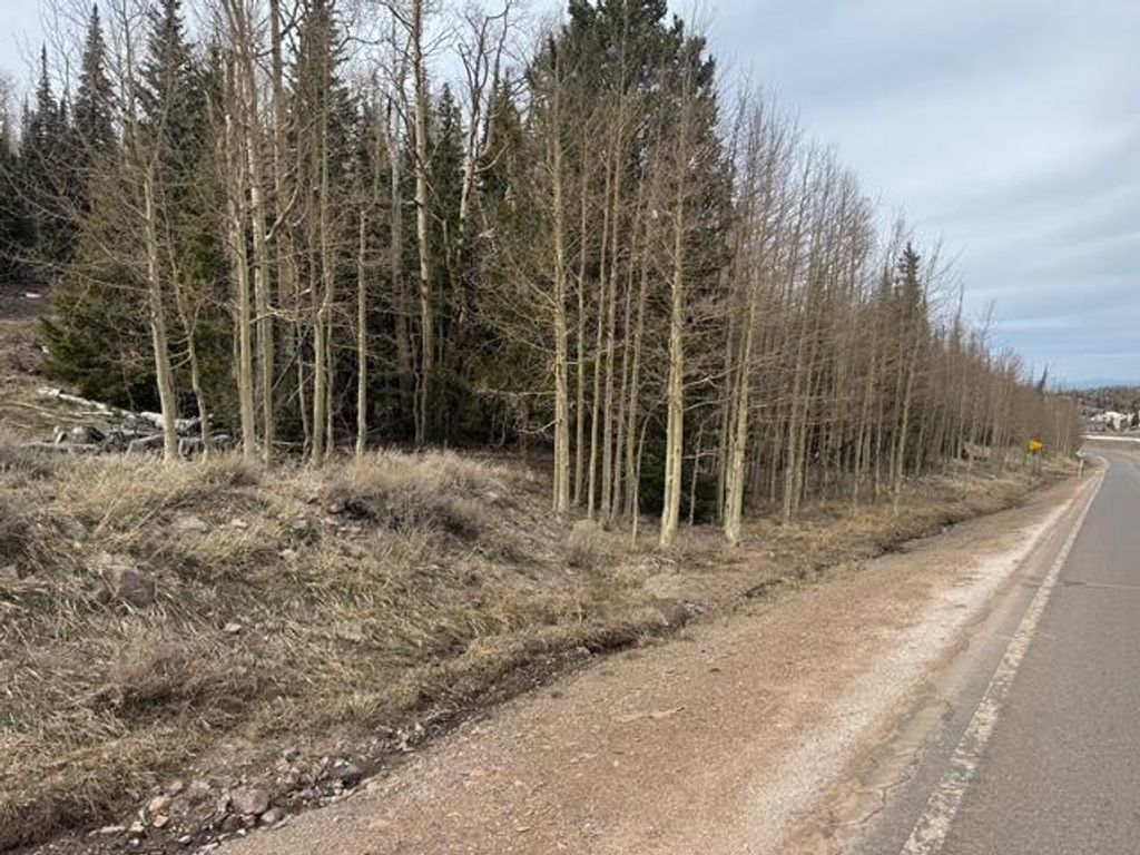 Photo of 761 S Driftwood DR #BH unit 3 blk A lot, Brian Head, UT 84719 (MLS # 115463)