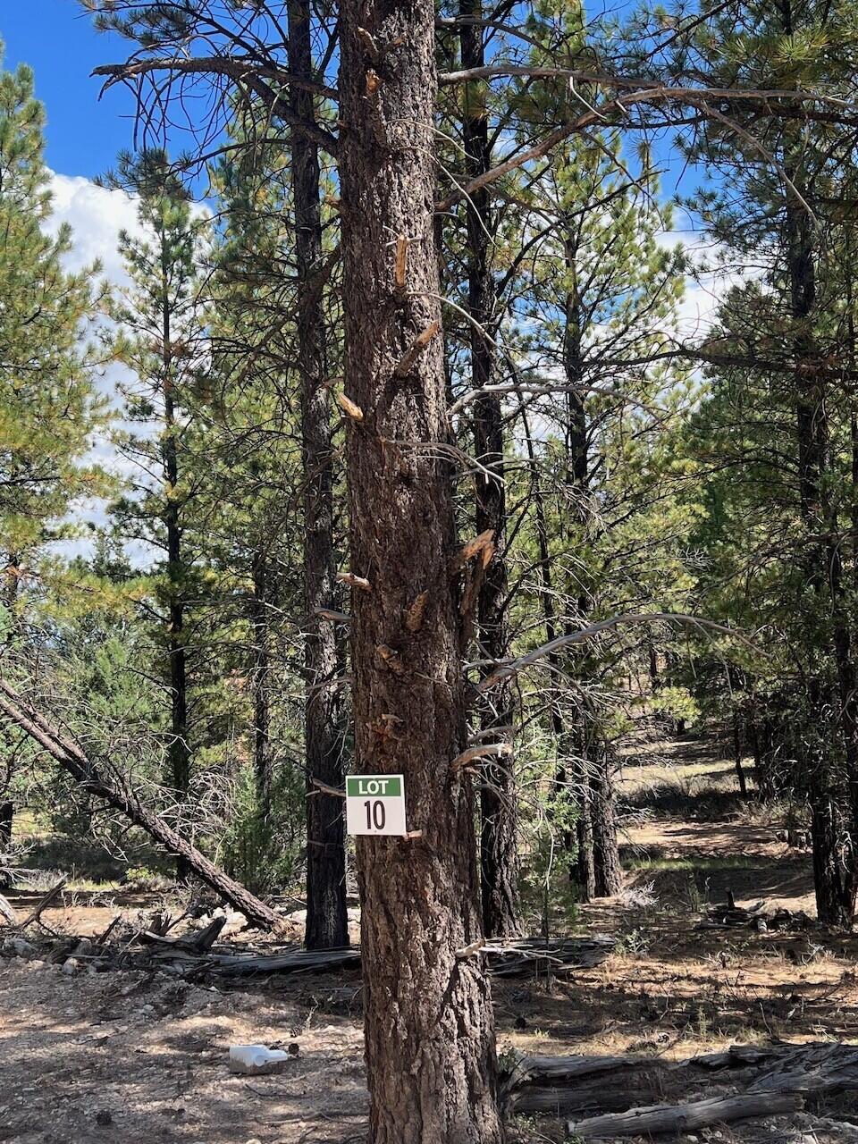 Photo of 10 Elk Ridge Estates Phase 6, Alton, UT 84710 (MLS # 118030)