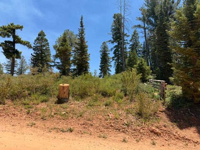Photo of 1028 N Aspen DR, Brian Head, UT 84719 (MLS # 116907)