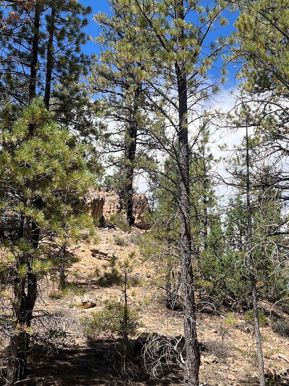 Photo of 4 Elk Ridge Estates Phase 6, Alton, UT 84710 (MLS # 118023)