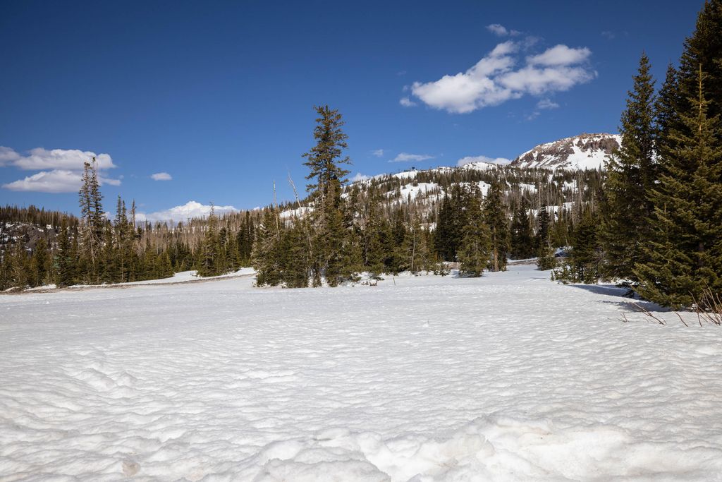 Photo of 167 Zion View Dr. Dr #unit 1, Brian Head, UT 84719 (MLS # 113387)