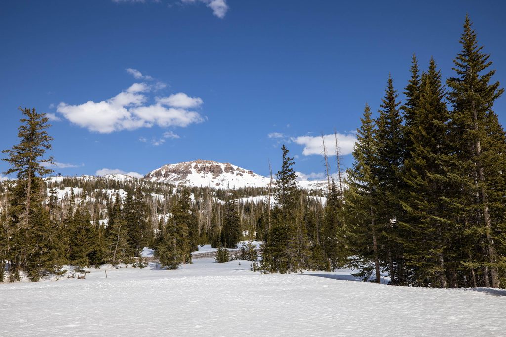 Photo of 167 Zion View Dr. Dr #unit 1, Brian Head, UT 84719 (MLS # 113387)