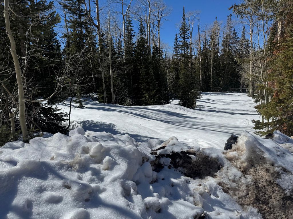 Photo of 79 N Forest DR, Brian Head, UT 84719 (MLS # 115021)