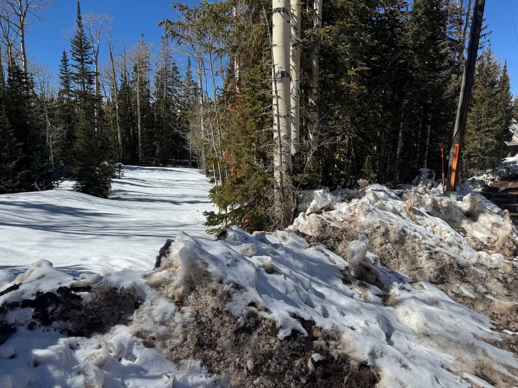 Photo of 79 N Forest DR, Brian Head, UT 84719 (MLS # 115021)