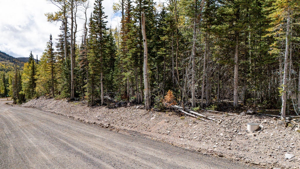 Photo of 267 N Elk DR, Brian Head, UT 84719 (MLS # 118106)