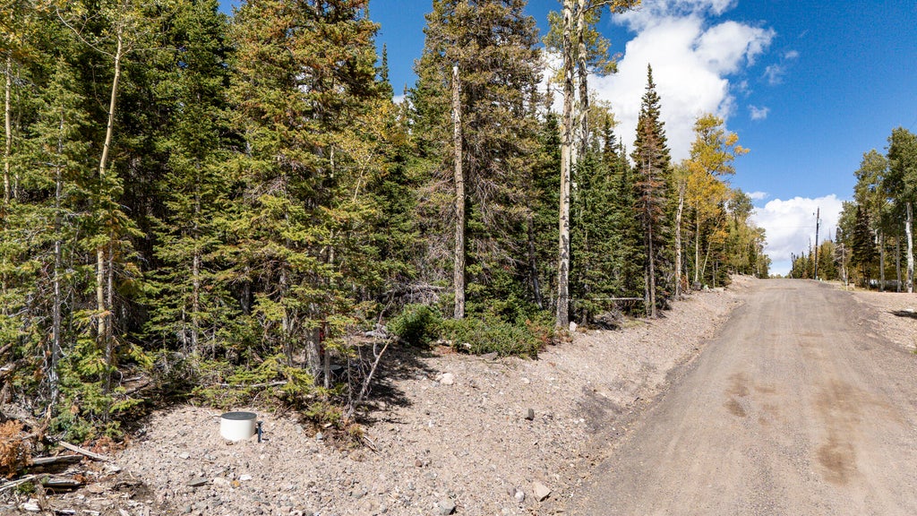 Photo of 267 N Elk DR, Brian Head, UT 84719 (MLS # 118106)