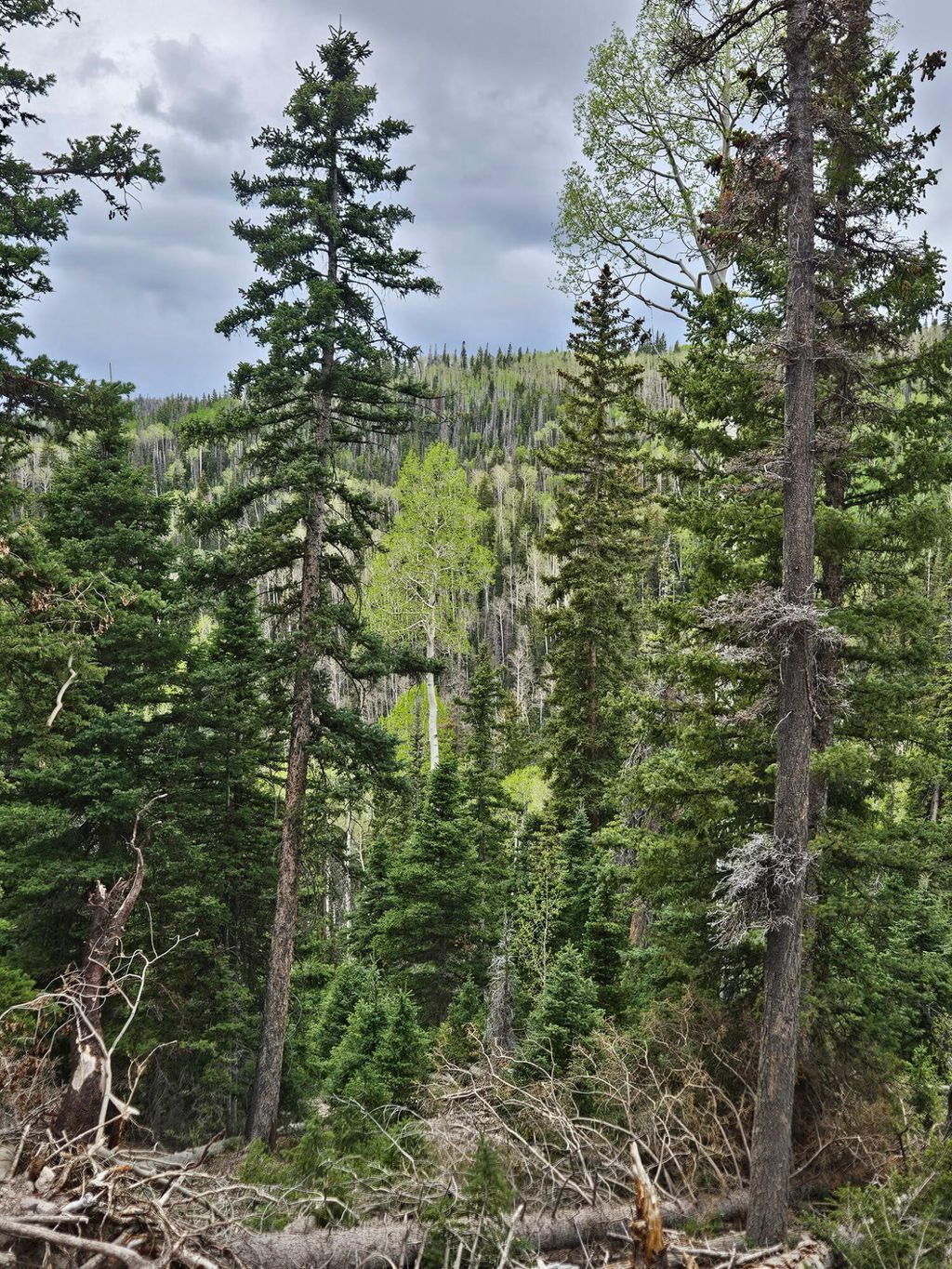 Photo of T29S R5W S2 Lot 39 W Village, Beaver, UT 84713 (MLS # 111614)