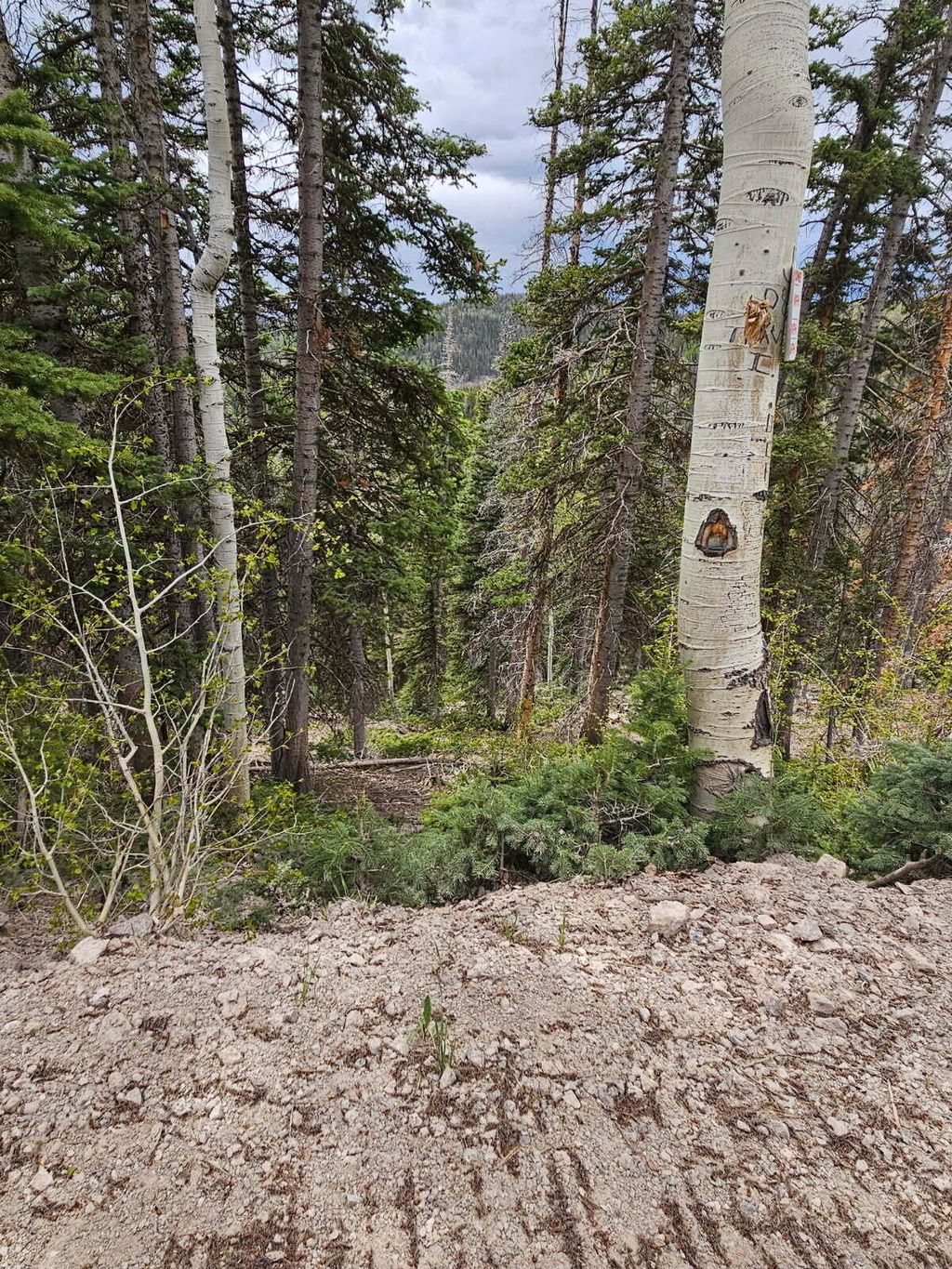 Photo of T29S R5W S2 Lot 39 W Village, Beaver, UT 84713 (MLS # 111614)