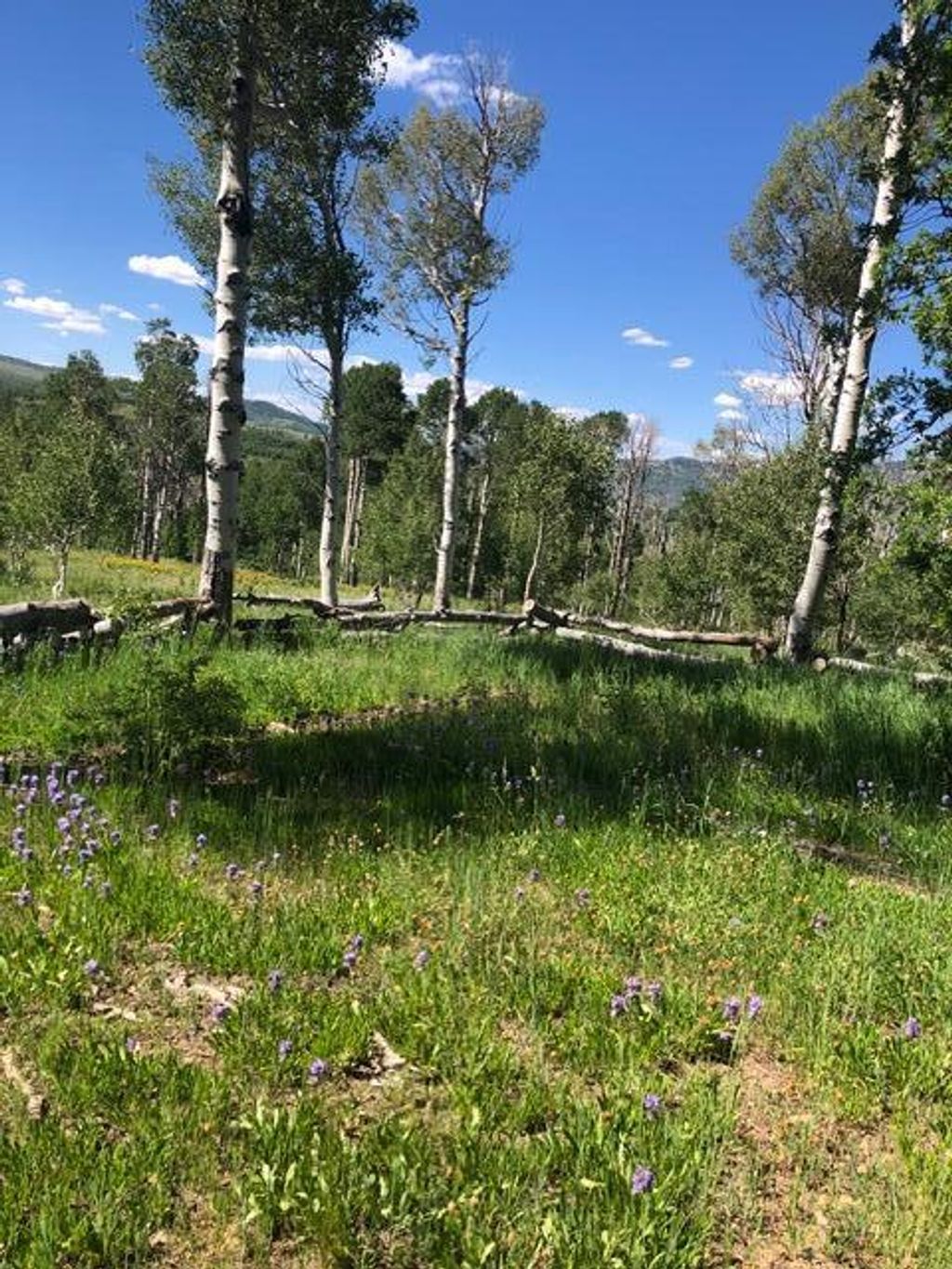 Photo of 20 Acres Miners Peak, Cedar City, UT 84720 (MLS # 114028)