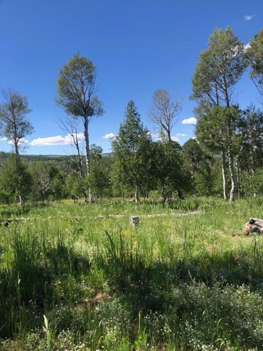 Photo of 20 Acres Miners Peak, Cedar City, UT 84720 (MLS # 114028)