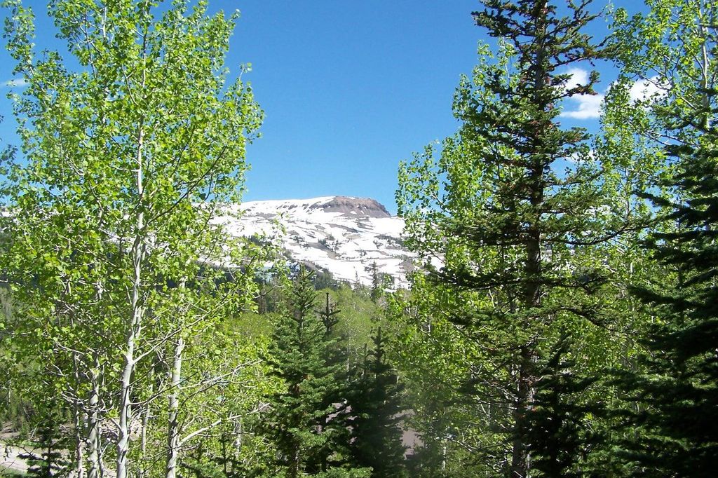 Photo of 199 W Hunter Ridge DR, Brian Head, UT 84719 (MLS # 116036)