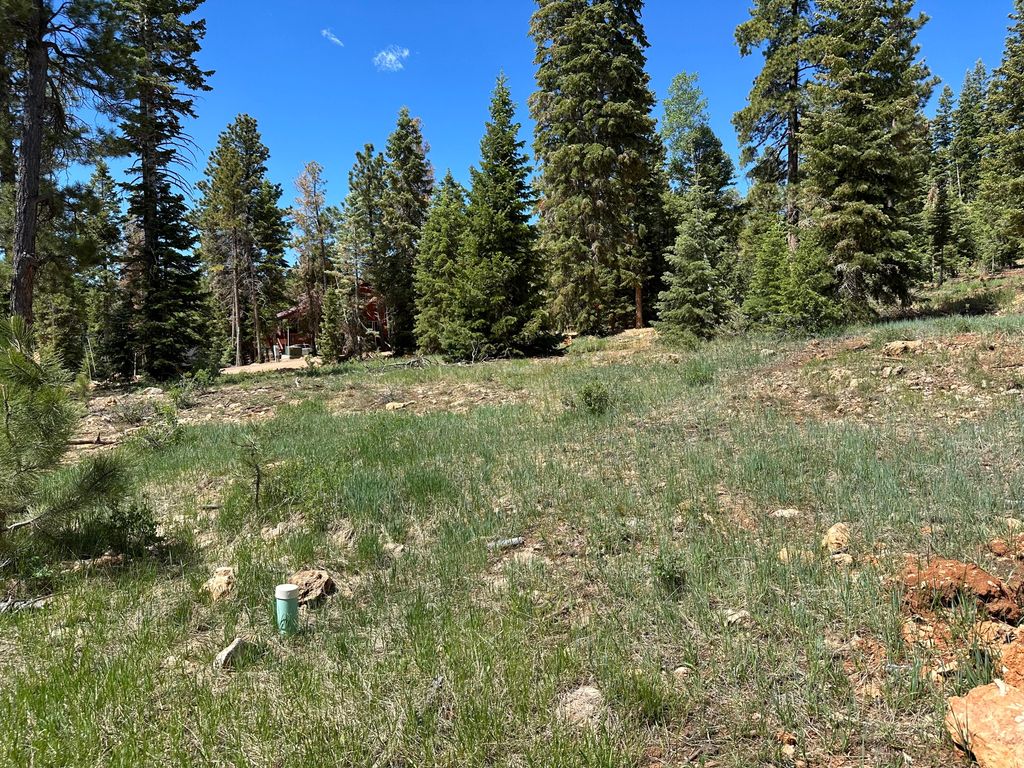 Photo of 1065 E Redwood RD, Duck Creek Village, UT 84762 (MLS # 115709)