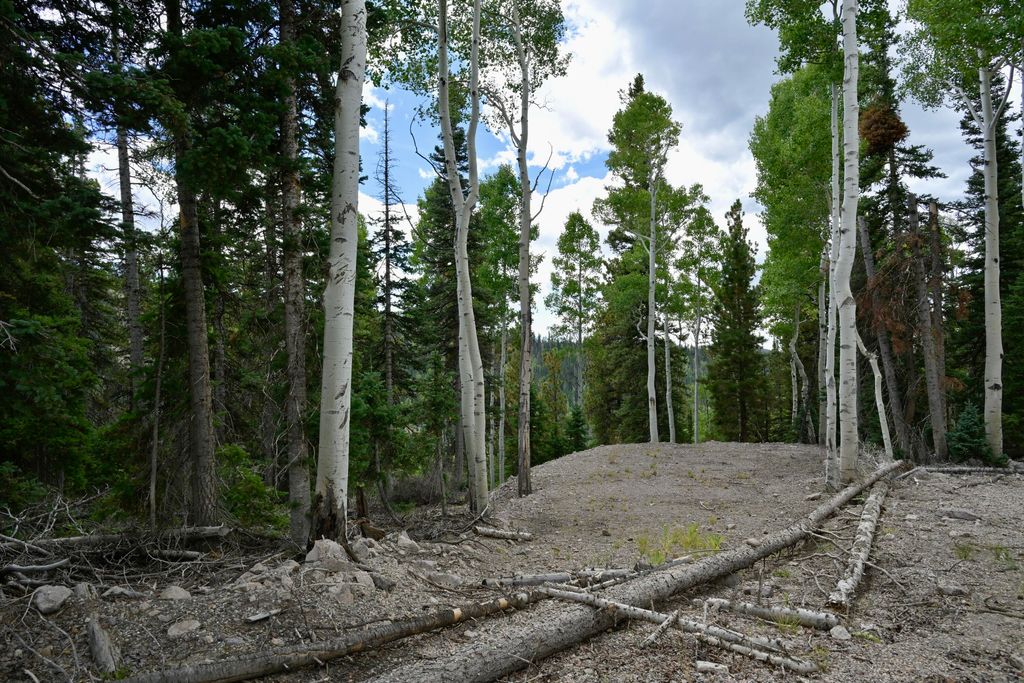 Photo of LOT 128 West Village, Beaver, UT 84713 (MLS # 113638)