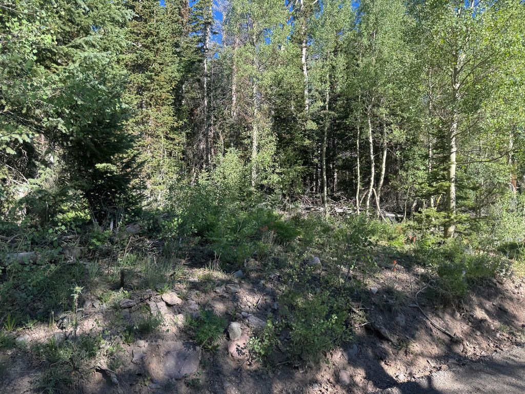 Photo of 313 N 275 E #CBME unit C lot 111, Brian Head, UT 84719 (MLS # 116894)