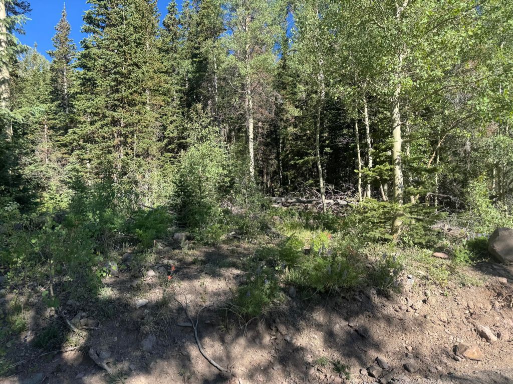 Photo of 313 N 275 E #CBME unit C lot 111, Brian Head, UT 84719 (MLS # 116894)