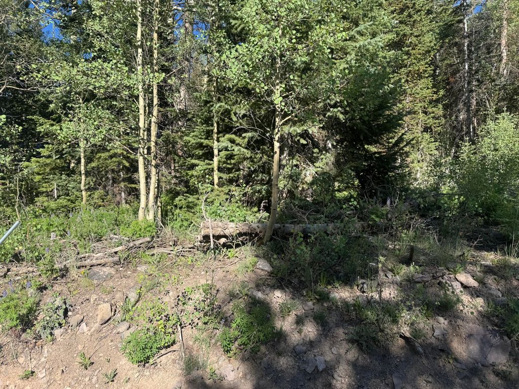 Photo of 313 N 275 E #CBME unit C lot 111, Brian Head, UT 84719 (MLS # 116894)