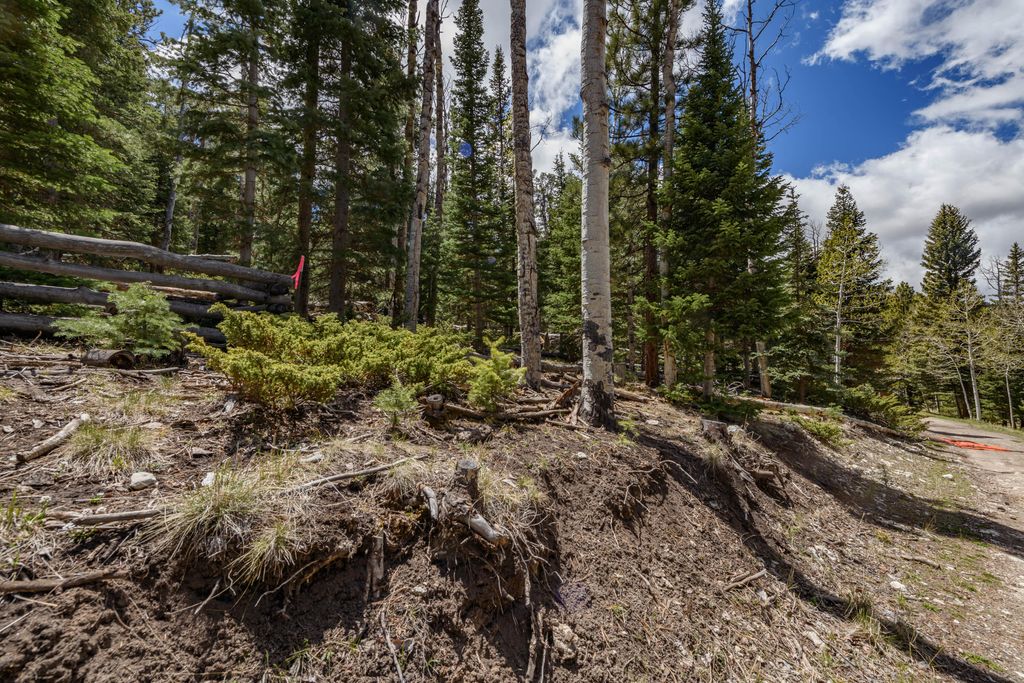 Photo of Clear Creek Estates Lot 14, Panguitch Lake, UT 84759 (MLS # 116433)