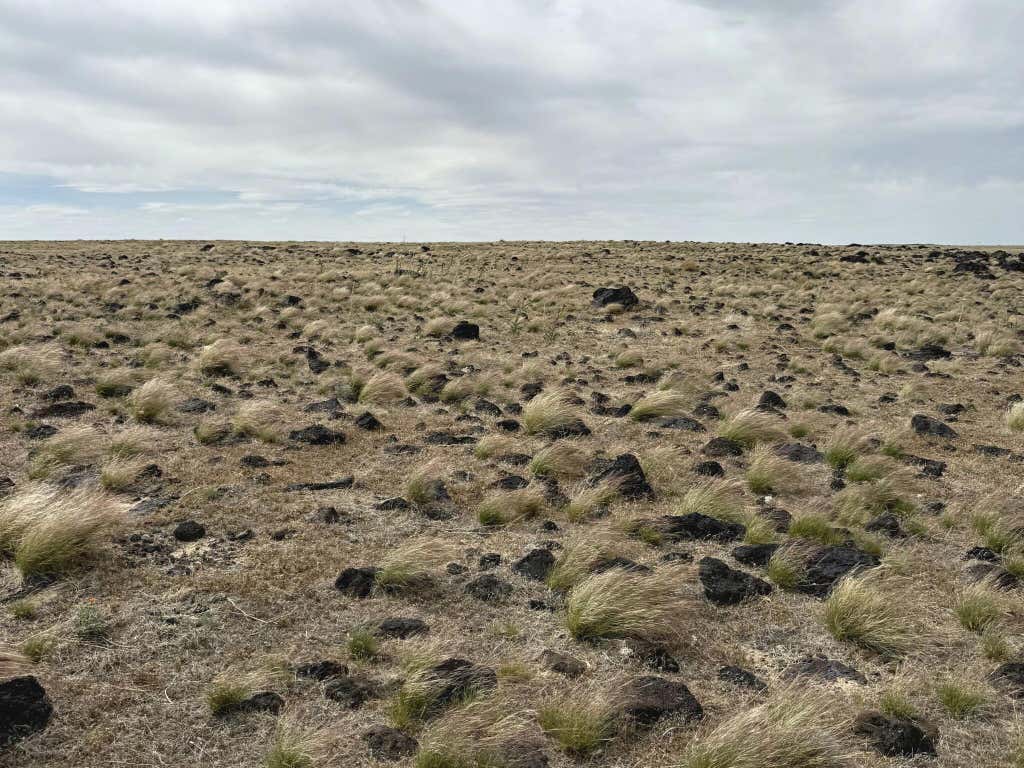 Photo of W 5800 S Street ST, Kanosh, UT 84637 (MLS # 116760)