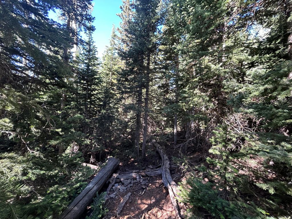 Photo of W Hunter Ridge DR, Brian Head, UT 84719 (MLS # 111300)