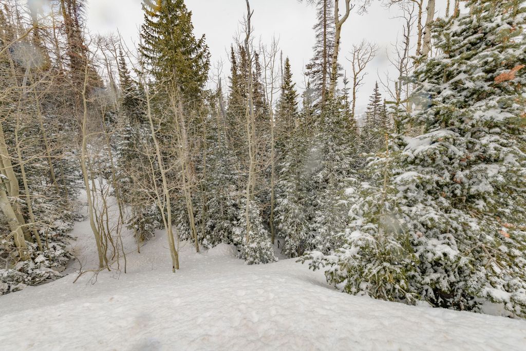 Photo of W Hunter Ridge DR, Brian Head, UT 84719 (MLS # 111300)