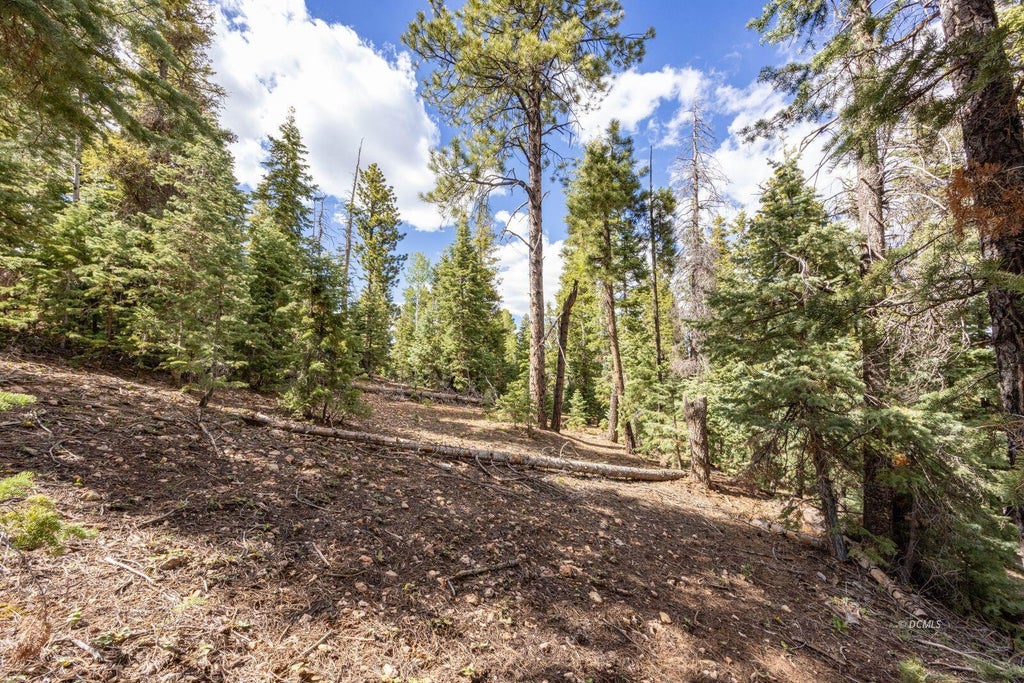 Photo of 955 Bonanza RD, Duck Creek Village, UT 84762 (MLS # 116481)