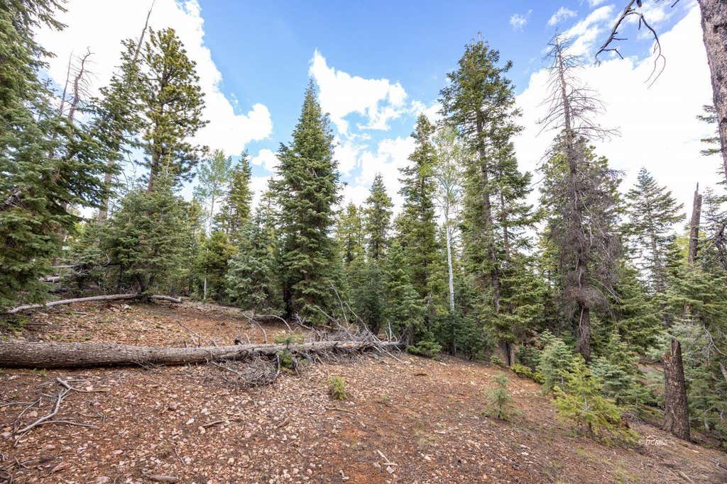 Photo of 955 Bonanza RD, Duck Creek Village, UT 84762 (MLS # 116481)