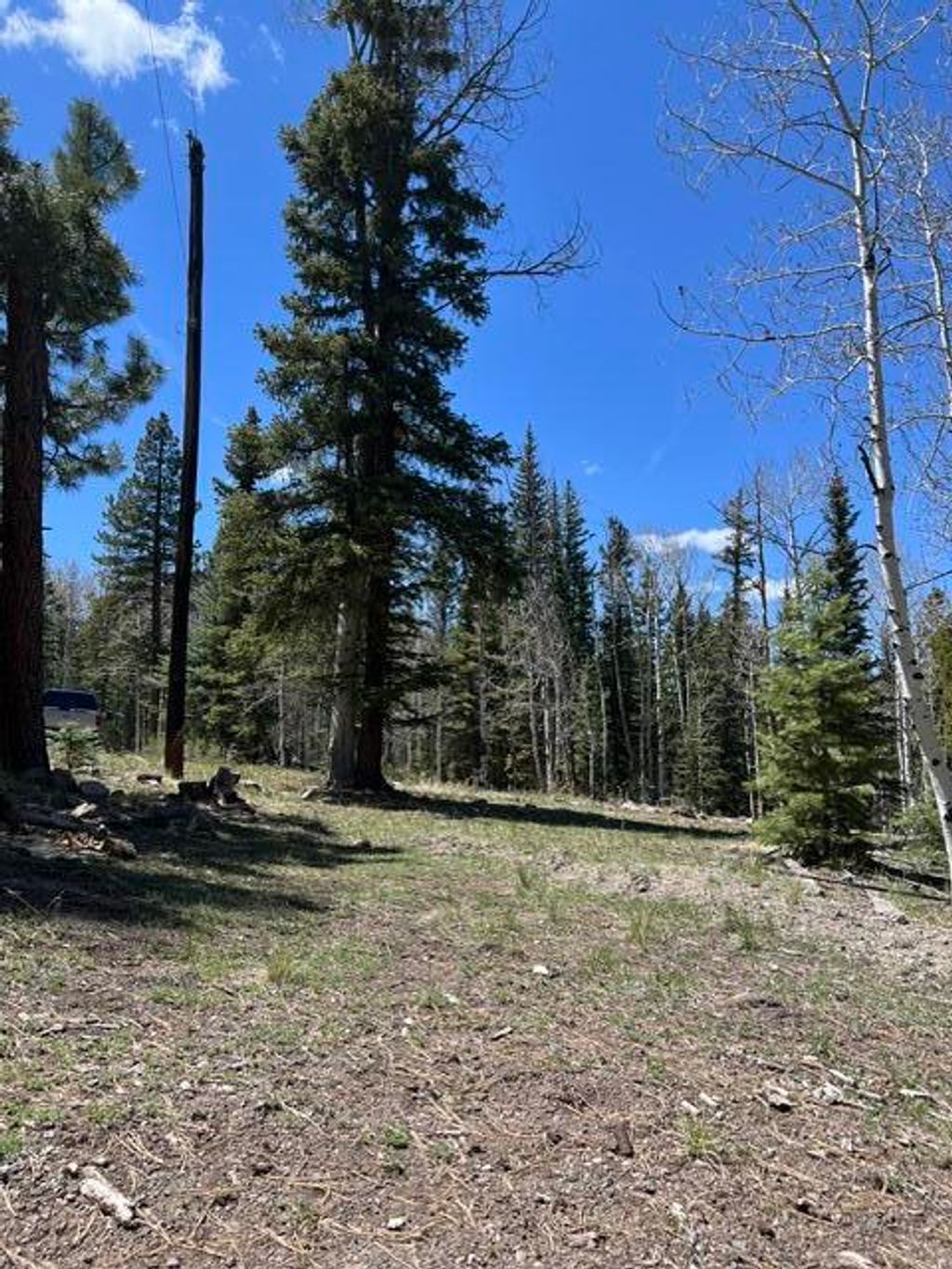 Photo of 1014 W Chipmunk RD #Lots 13 &amp; 14, Panguitch, UT 84759 (MLS # 116852)