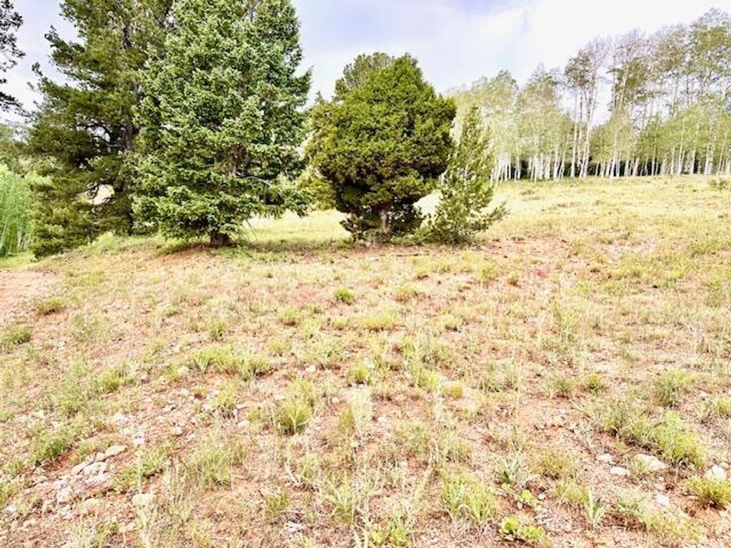Photo of Aspen DR #M &amp; B, Brian Head, UT 84719 (MLS # 107649)