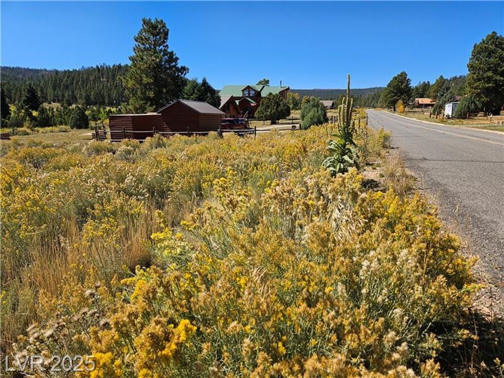 Photo of 776 E Aspen Meadow DR, Mammoth Creek, UT 84735 (MLS # 113274)