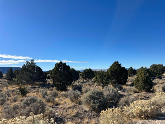 FIRST SPRINGS ROAD, BEAVER, UT 84713 - Image ff2f346a658d7492de2d5ed9dacea048/3410414566
