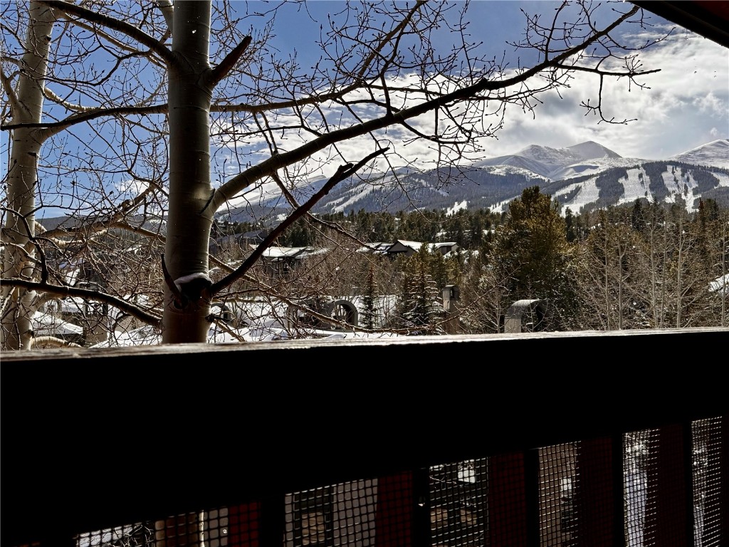 305 S Park Avenue 402

                                                                             Breckenridge                                

                                    , CO - $1,190,000