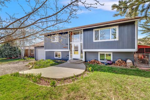 40521 Steamboat Drive, Steamboat Springs, CO 80487 - #: S1048616