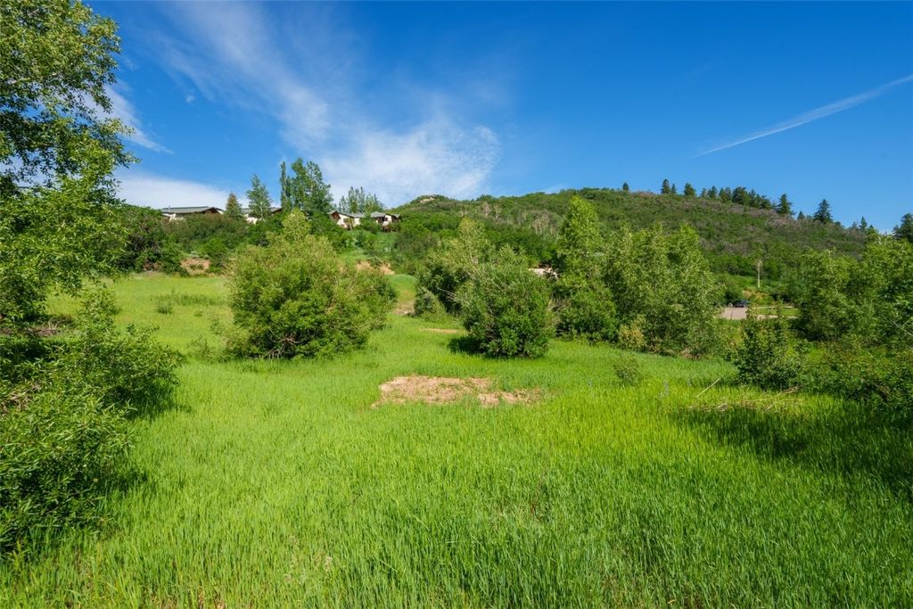 Photo of 33635 Sky Valley Drive, Steamboat Springs, CO 80487 (MLS # S1048101)