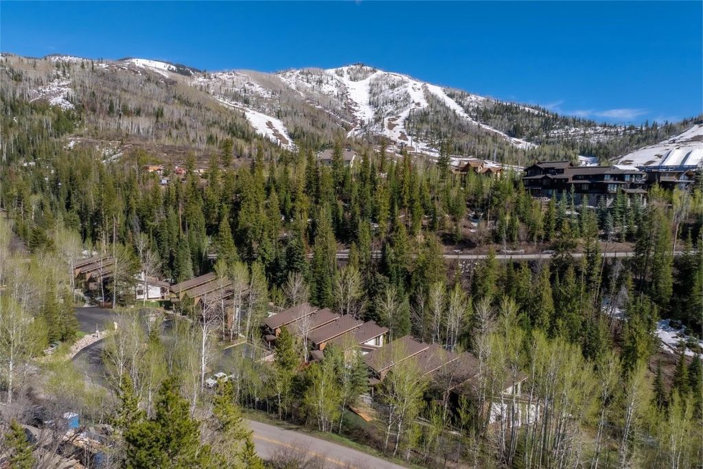 Photo of 2739 Burgess Creek Road #10, Steamboat Springs, CO 80487 (MLS # S1049172)