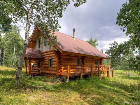 26795 Placer Place, Clark, CO 80487 - #: SS3334295