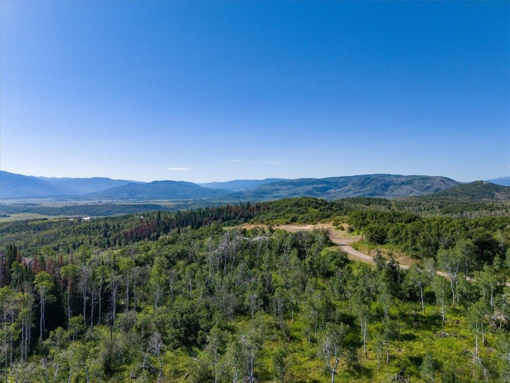 Photo of 21560 Whitewood Drive W, Steamboat Springs, CO 80487 (MLS # S1052992)