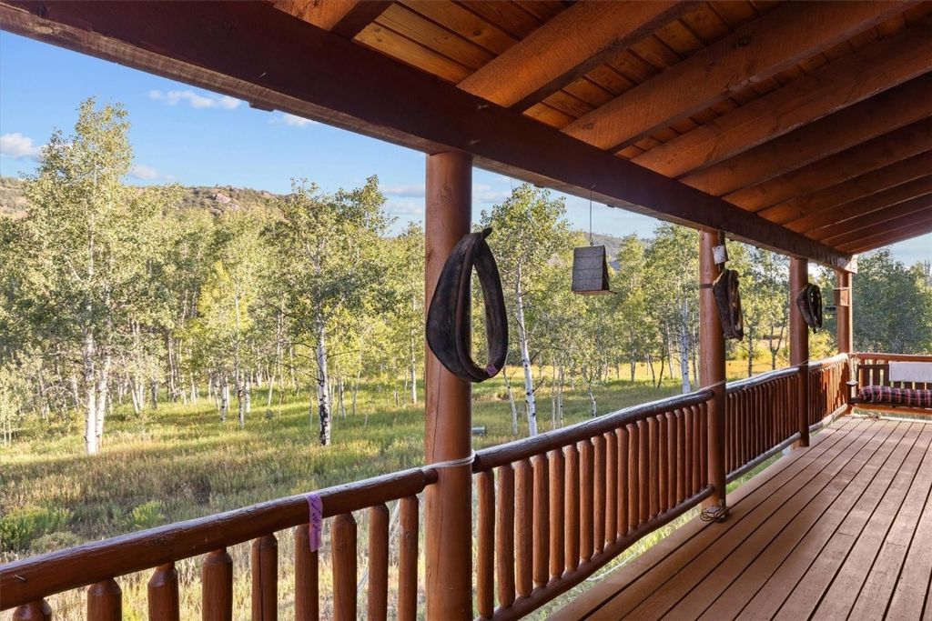 Photo of 29030 Owl Drive, Clark, CO 80428 (MLS # S1053541)