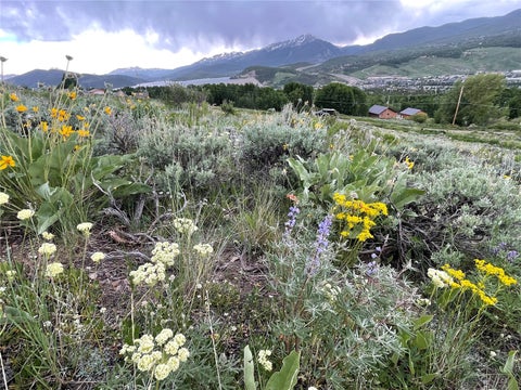 Photo of 371 Z Road, Silverthorne, CO 80498 (MLS # S1070960)