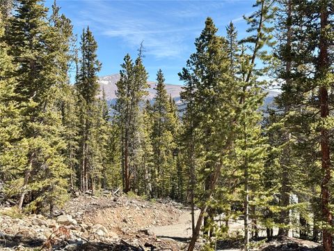 Photo of 313 Porcupine Road, Fairplay, CO 80440 (MLS # S1068127)