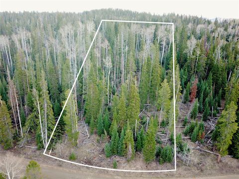 Photo of 57050 Golden Tide Place, Clark, CO 80428 (MLS # S1068161)