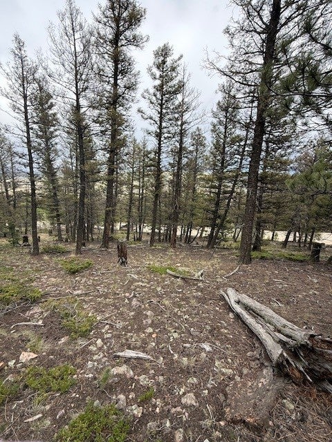Photo of 2689 Redhill Road, Frisco, CO 80440 (MLS # S1071139)