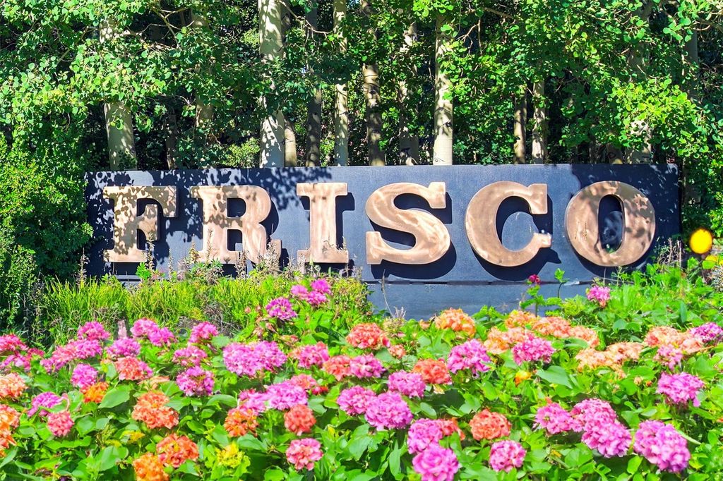 Photo of 20 E Main Street #204, Frisco, CO 80443 (MLS # S1066186)