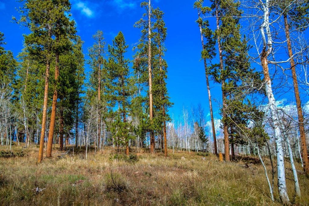 Photo of 1650 Falcon Circle, Silverthorne, CO 80498 (MLS # S1063984)