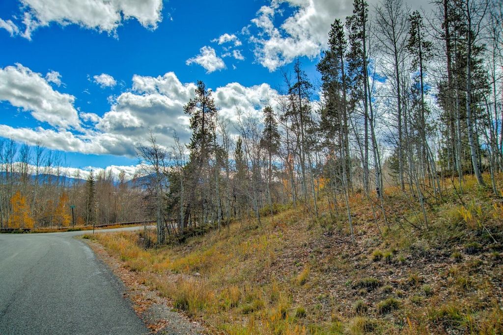 Photo of 1650 Falcon Circle, Silverthorne, CO 80498 (MLS # S1063984)