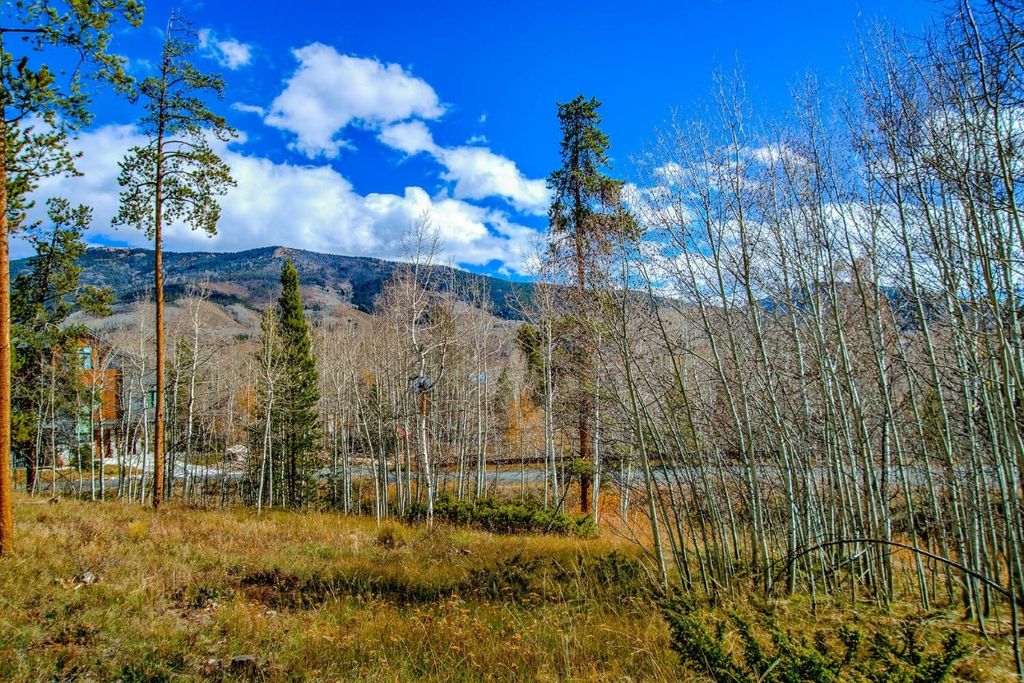Photo of 1650 Falcon Circle, Silverthorne, CO 80498 (MLS # S1063984)