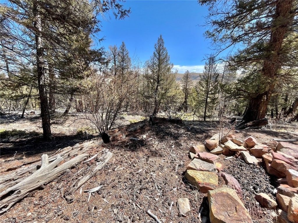 Photo of 2834 Middle Fork, Fairplay, CO 80440 (MLS # S1064441)
