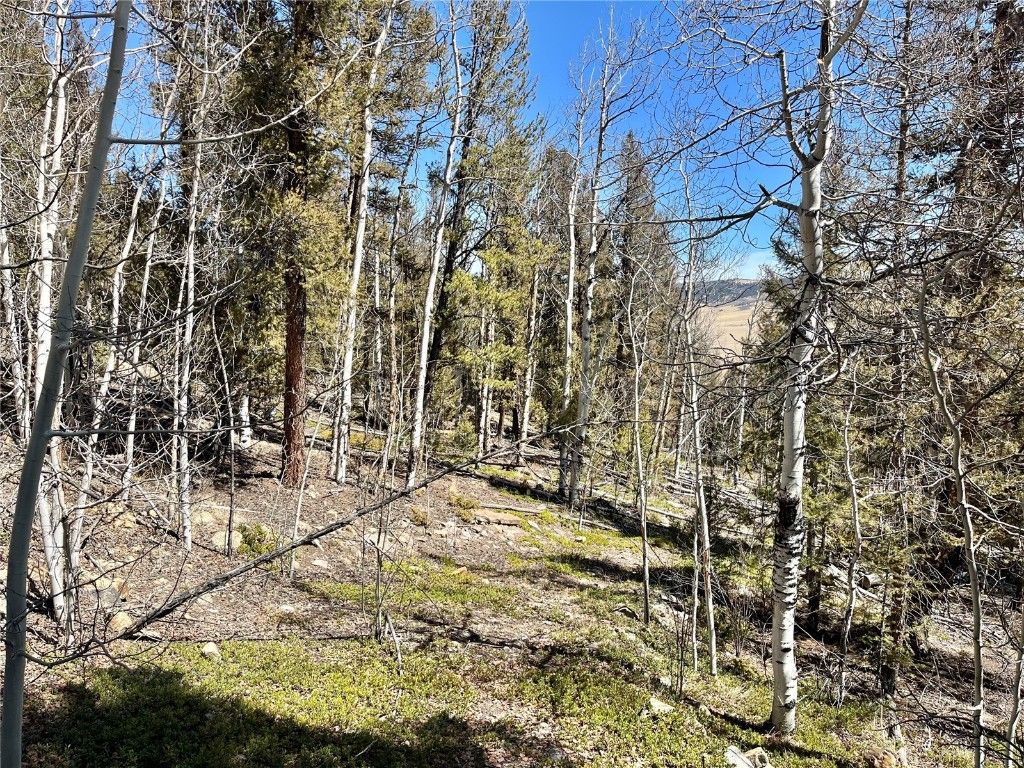 Photo of 2834 Middle Fork, Fairplay, CO 80440 (MLS # S1064441)