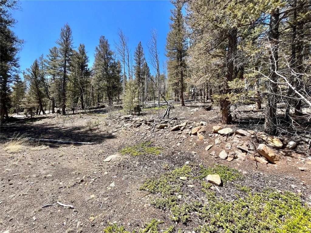 Photo of 2834 Middle Fork, Fairplay, CO 80440 (MLS # S1064441)